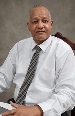 Prof Ahmed ElSayed